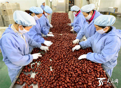 新疆阿拉爾墾區 紅棗嚴格分級打造品牌，助推農副產品升級